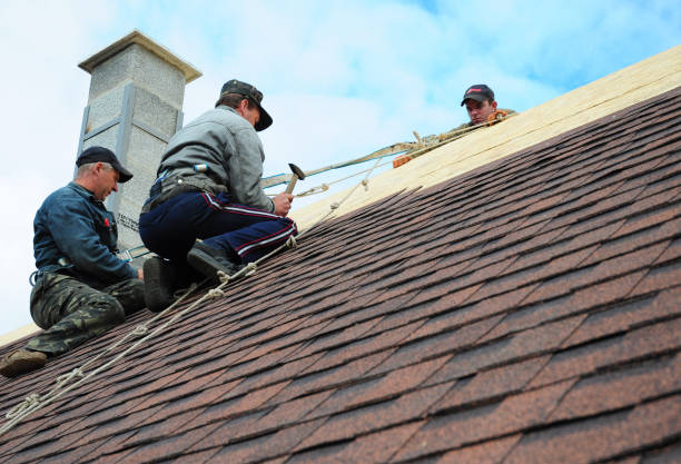 Professional Roofing Contractor in Sudley, VA