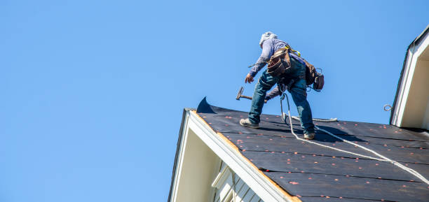Best Roof Maintenance Services  in Sudley, VA